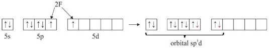 hibridisasi XeF2
