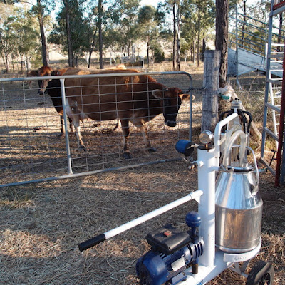 eight acres: how to clean a portable milking machine