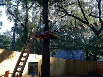 Tallahassee Museum Tree-to-Tree Adventure Zipline