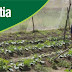 Várzea do Poço: Prorrogado até o dia 20 de abril o prazo para pagamento do boleto do Programa Garantia-Safra