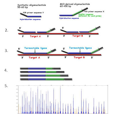 Sequencing Experiences for Life: Comece a usar a outra metade do seu ...