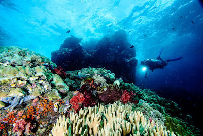 Keindahan Pulau Misool di Raja Ampat Keindahan Pulau Misool di Raja Ampat