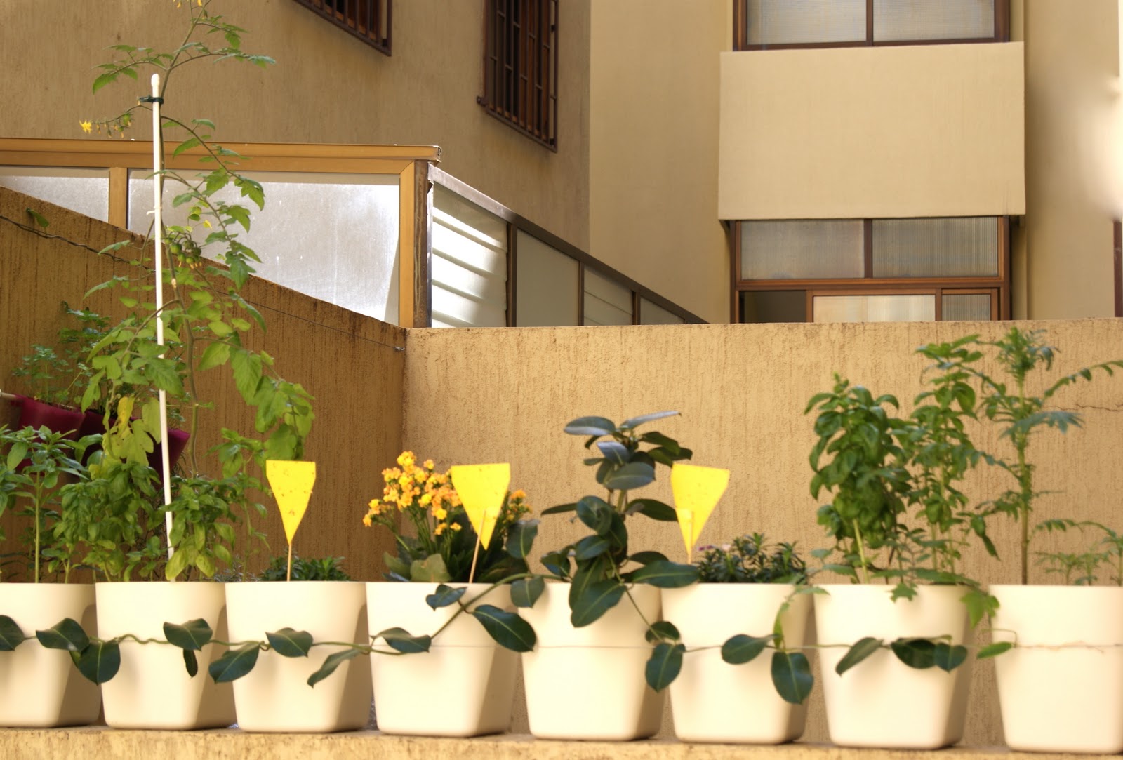 Decoración inexperta: ¿Disfrutas de tu patio interior?