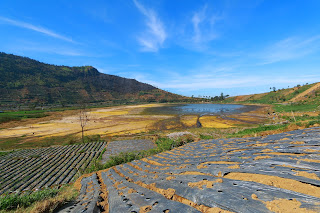 telaga merdada
