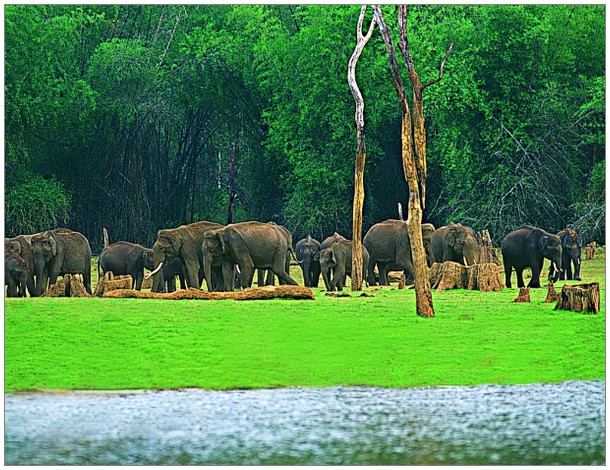 Best Places to visit in Kerala: part2 | Travel World Space Way