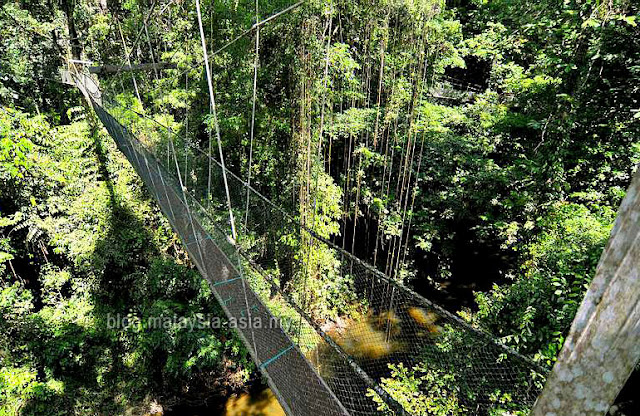 Why Choose Sarawak for Business Events and MICE Why Choose Sarawak for Business Events and MICE