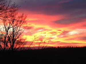 A very cool welcoming home view this morning!