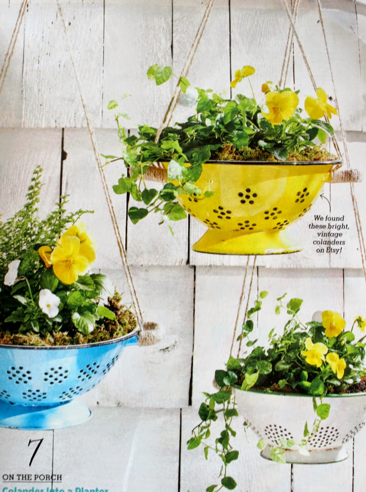 Spring Made From A Colander Planter A Stroll Thru Life