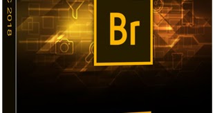What is adobe bridge cs4