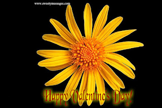 happy valentines day images happy valentines day images for husband