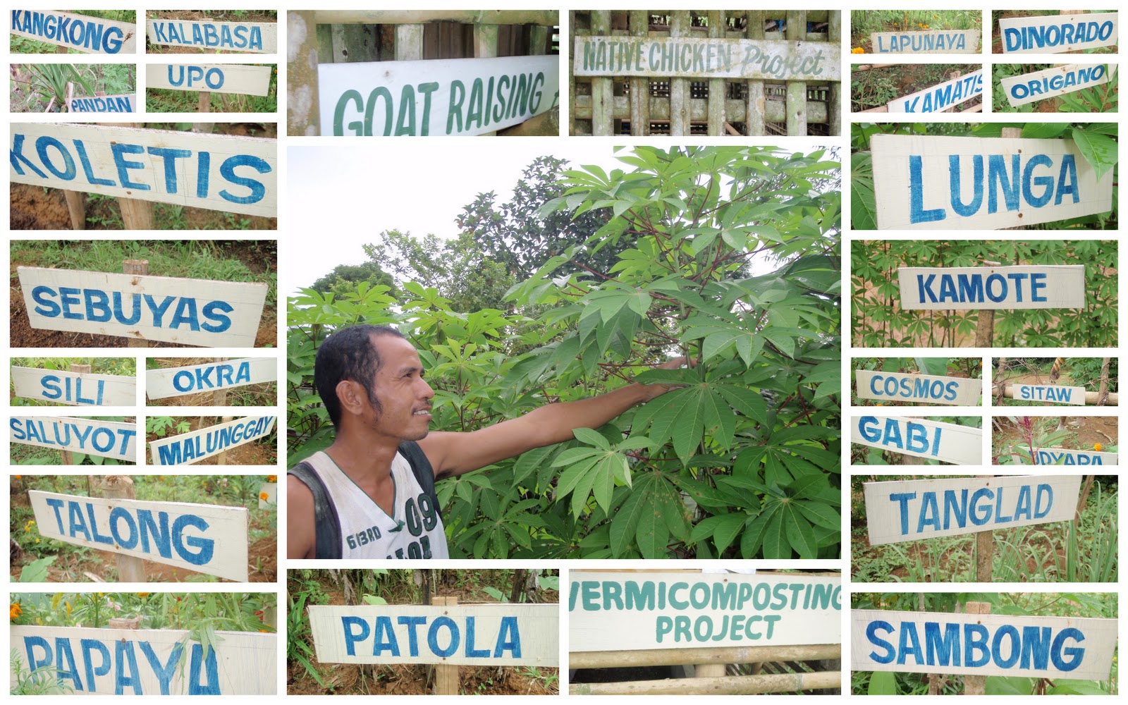 Municipality of Dao Dao, Capiz