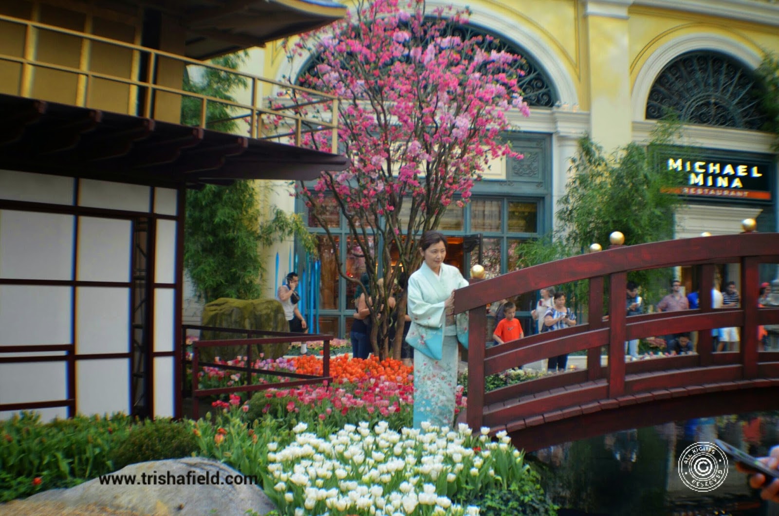 Japanese Tea House display at Bellagio