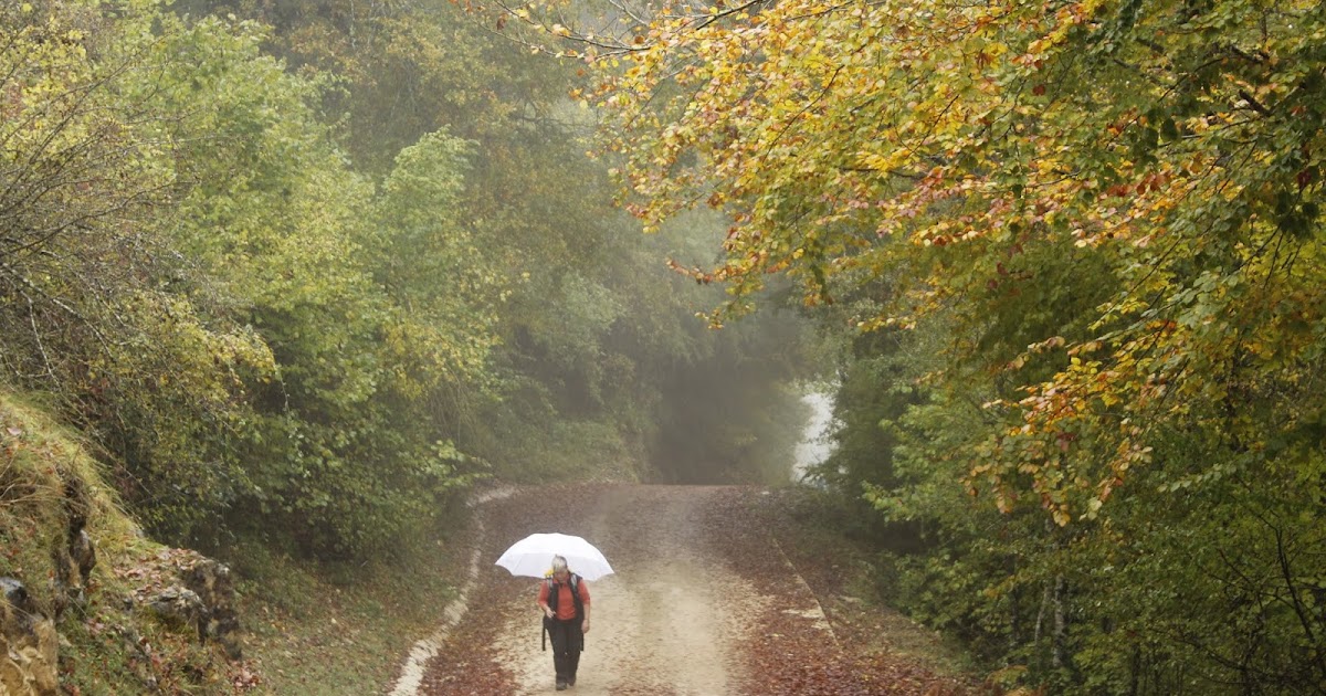 El bosque encantado de Artea y la Cueva de los Cristinos (Larraona
