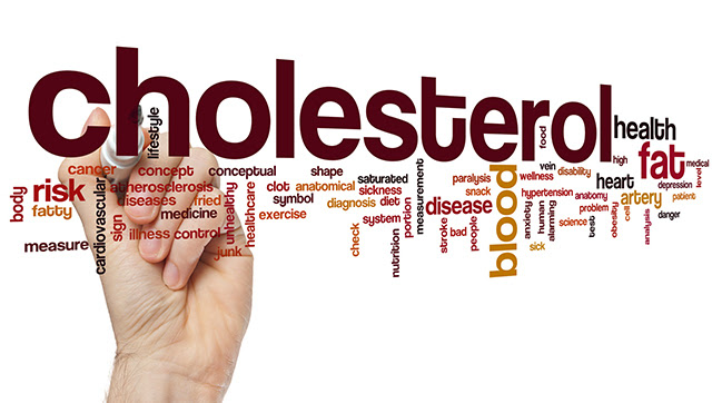 Obat Herbal Penurun Kolesterol Untuk Melawan Kolesterol Jahat Obat Herbal Penurun Kolesterol Untuk Melawan Kolesterol Jahat
