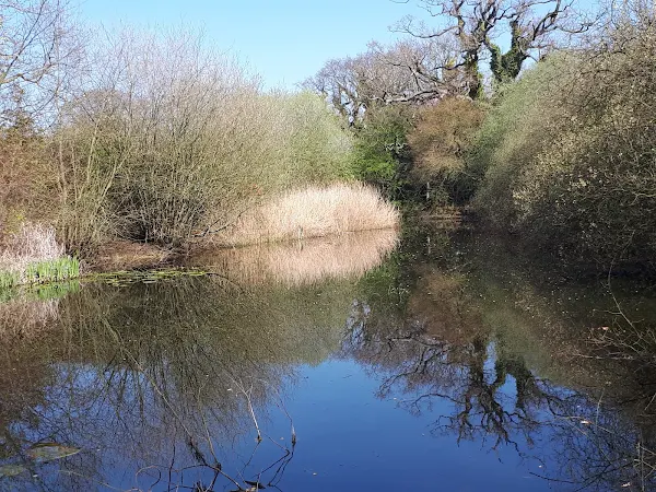 Lilly Pond on the track between Coldfair Green and the Aldeburgh Road