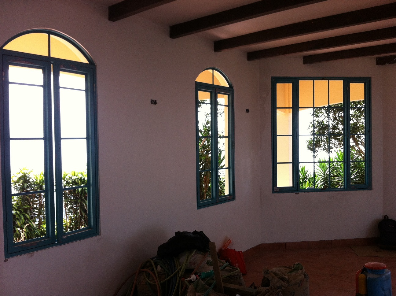 Costa Rica Rose: Windows and Doors, Windows and Doors!