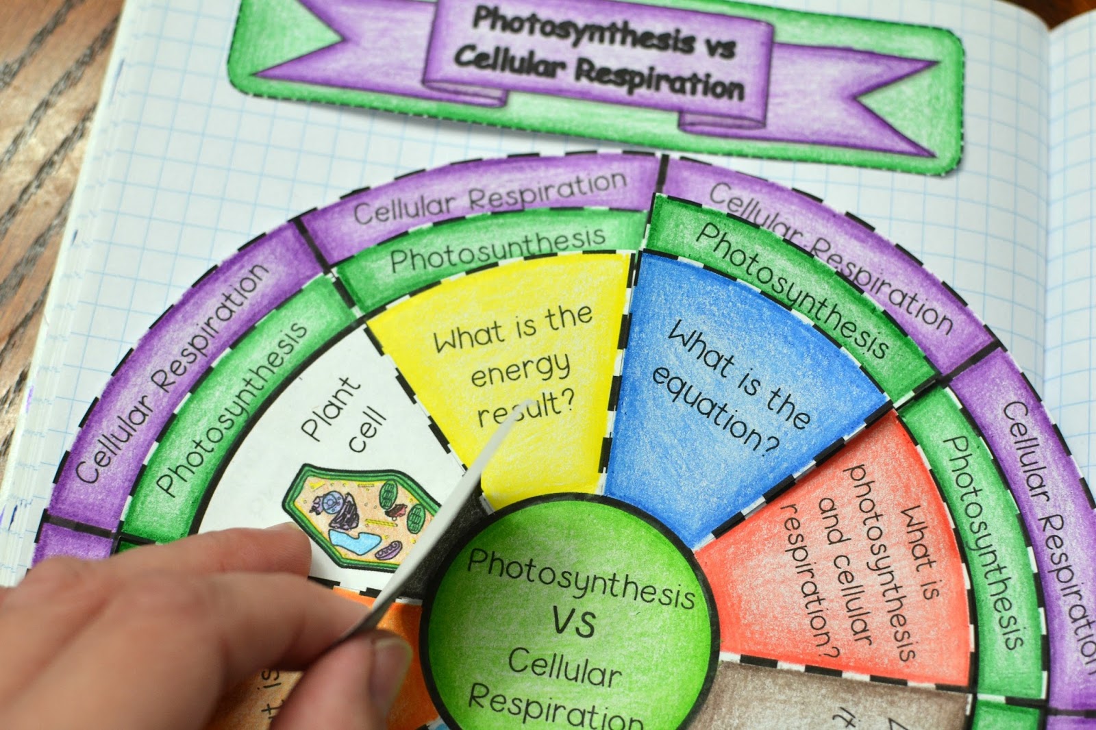 math-in-demand-photosynthesis-vs-cellular-respiration-wheel-foldable