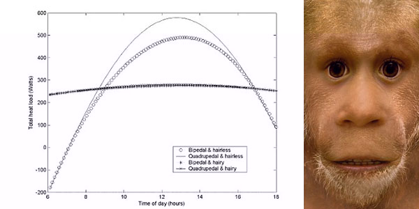 dunia nyata: Mengapa Manusia Bisa Berdiri?
