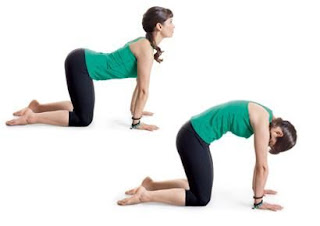 pregnancy exercises Marjariasana – Cat Pose