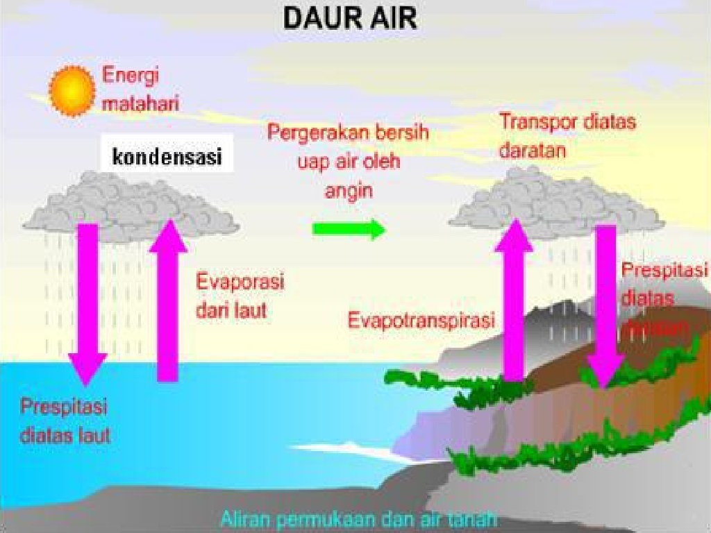 Dengan sebaliknya atmosfer daur siklus juga air dari bumi perputaran atau disebut ke air proses 18 Soal