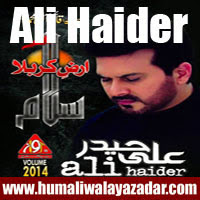 http://ishqehaider.blogspot.com/2013/07/ali-haider-nohay-2014.html