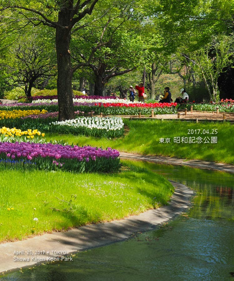 昭和記念公園の渓流広場
