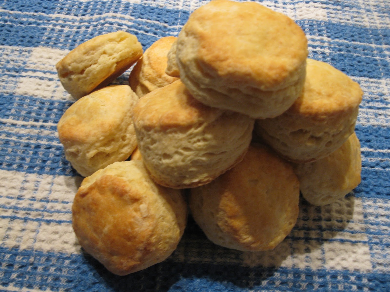 Thel's Kitchen Old Fashioned Baking Powder Biscuits Tea Biscuits