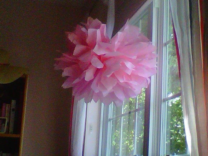 Edgy on the Side Hanging Tissue Paper Flowers