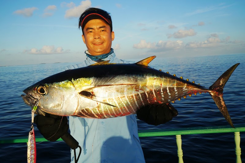 Tackle Source: IT'S THE MALDIVES Part Two