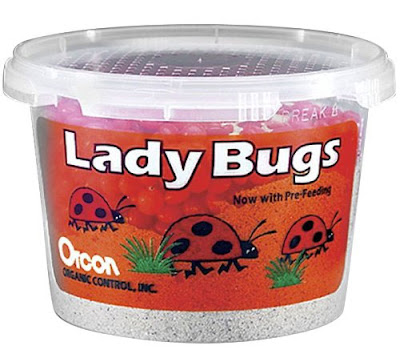 alt="amazon,weird,crazy products,weird products,retail,online shopping,ladybugs"