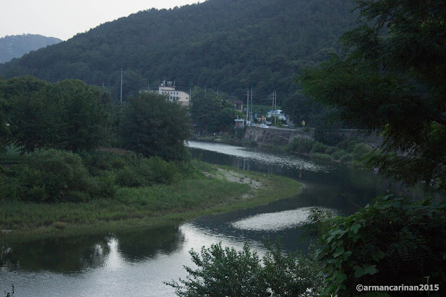 the flush green summer of Yangpyeong