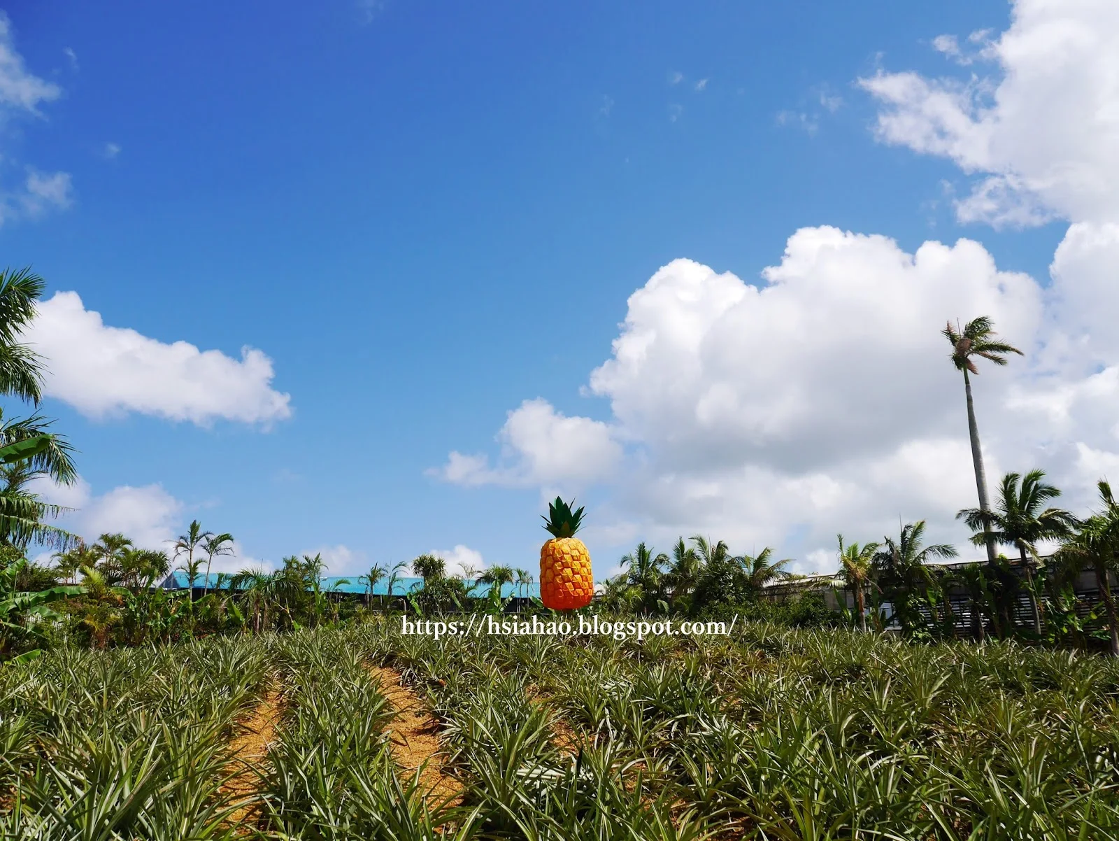 沖繩-名護鳳梨公園-觀光巴士-自由行-旅遊-Okinawa-hip-hop-bus