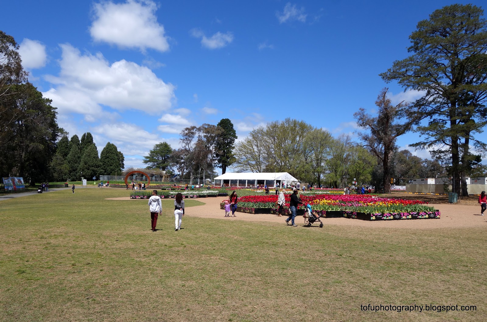 Tofu Photography The Floriade Flower show in Canberra