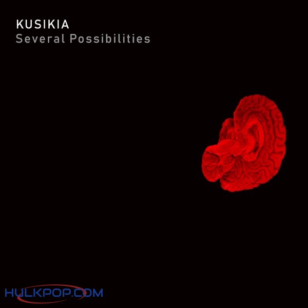 Team Kusikia – Several Possibilities
