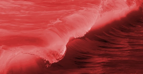 ( FOTOS ) Cierran Varias Playas En Florida Por Marea Roja. ( FOTOS ) Cierran Varias Playas En Florida Por Marea Roja.