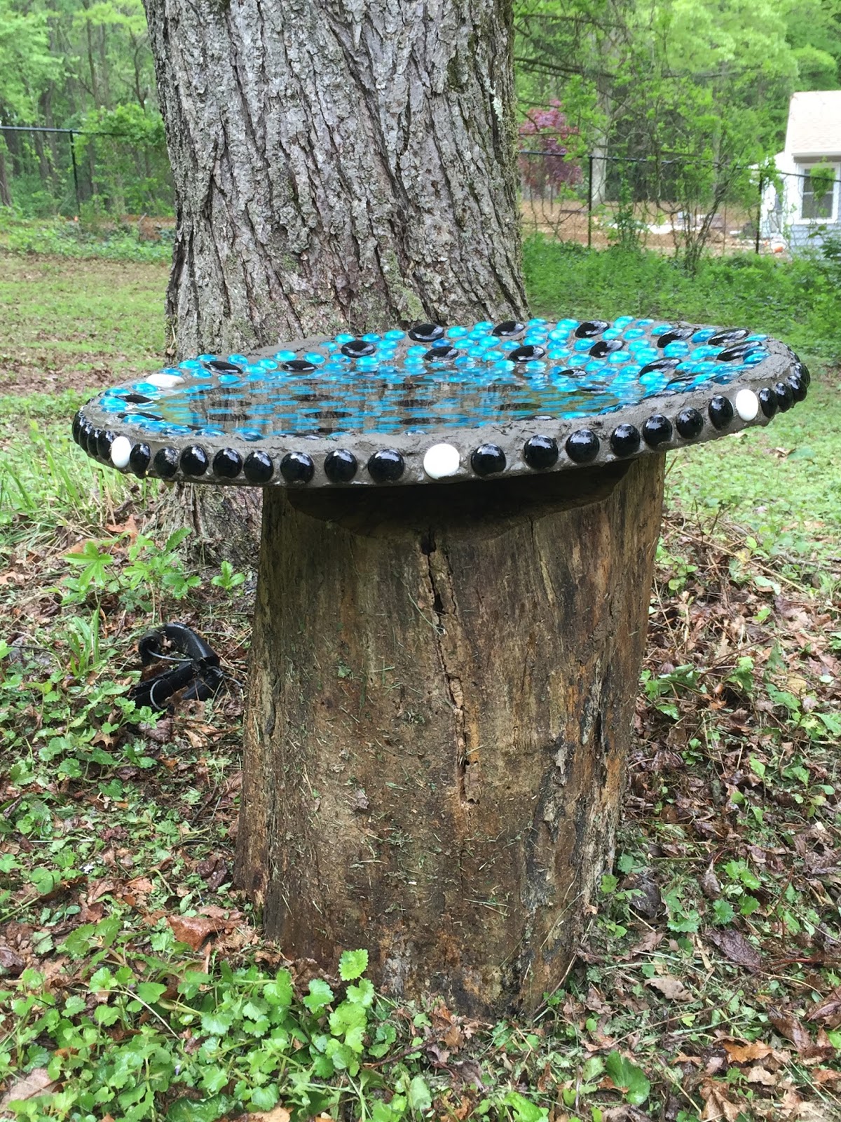 Monsoon Rains Old Satellite Dish = New Bird Bath