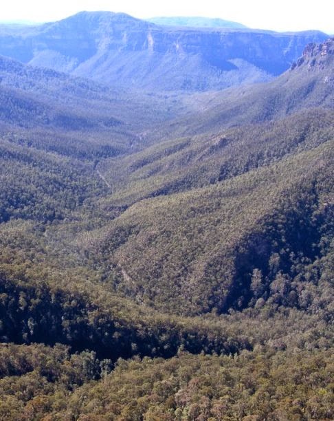 Голубые горы Австралия Blue Mountain Australia