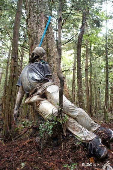 aokigahara fantasmas, assombrados, florestas assombradas, bosques assombrados, macabro, terror, medo