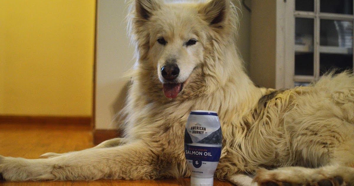 american journey salmon oil