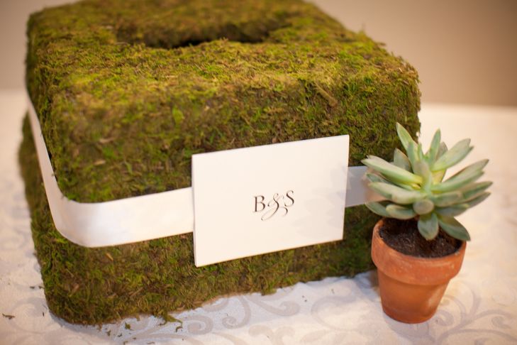 Moss-Covered Card Box