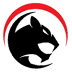 Download Puma Tunnel VPN Latest Apk For Android