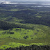 MEIO AMBIENTE / Civilizações antigas da América do Sul determinaram o tipo de vegetação na Amazônia