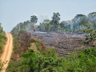 Deforestacion en la Amazonia