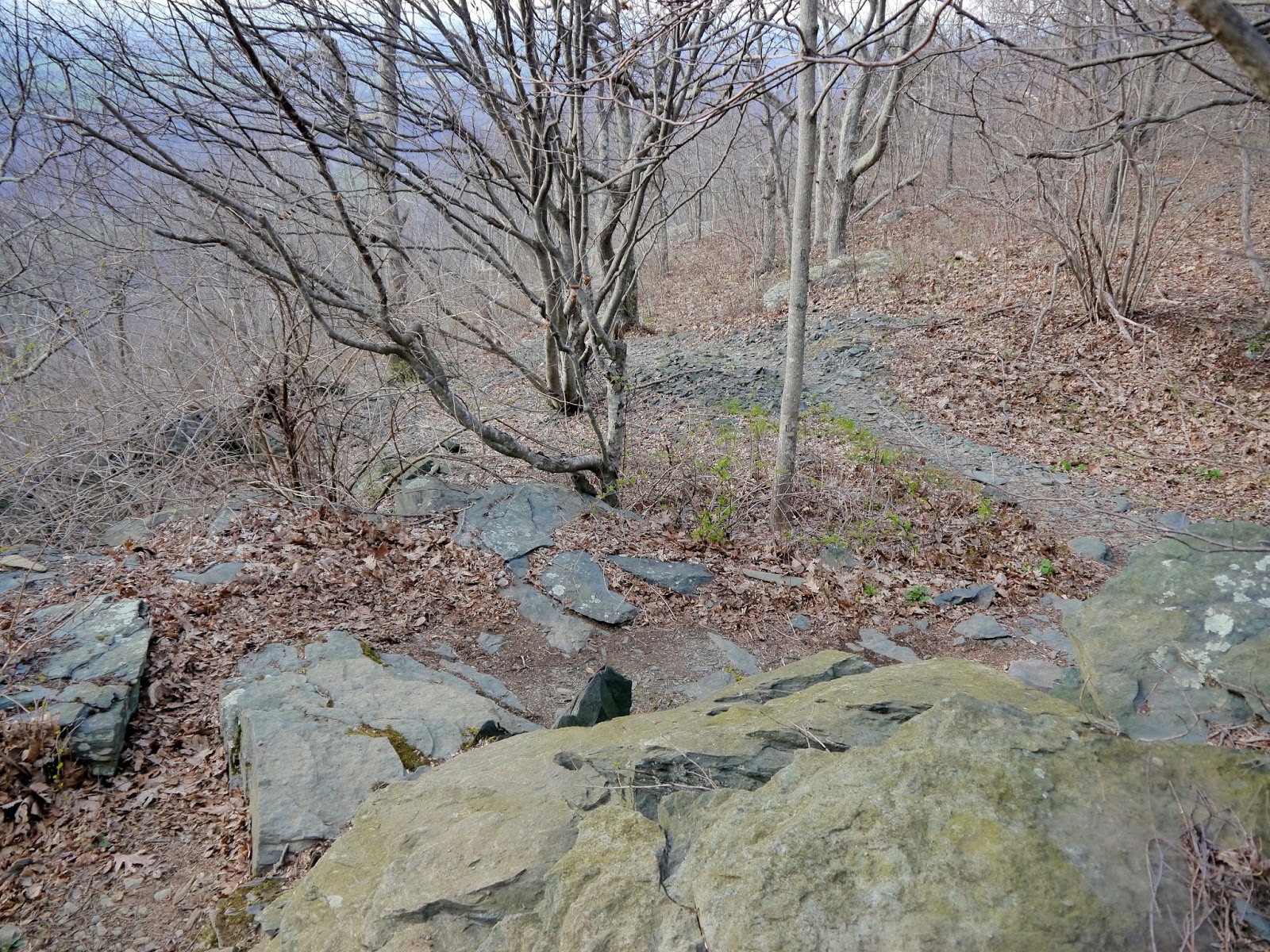 American Travel Journal Rockfish Gap to McCormick Gap Appalachian