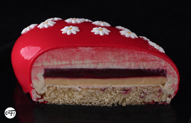 Le Red Dingue Entremets Passion Framboise Vanille