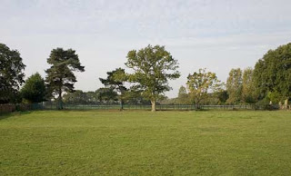 Sampung taon mula ngayon essay 08 picture