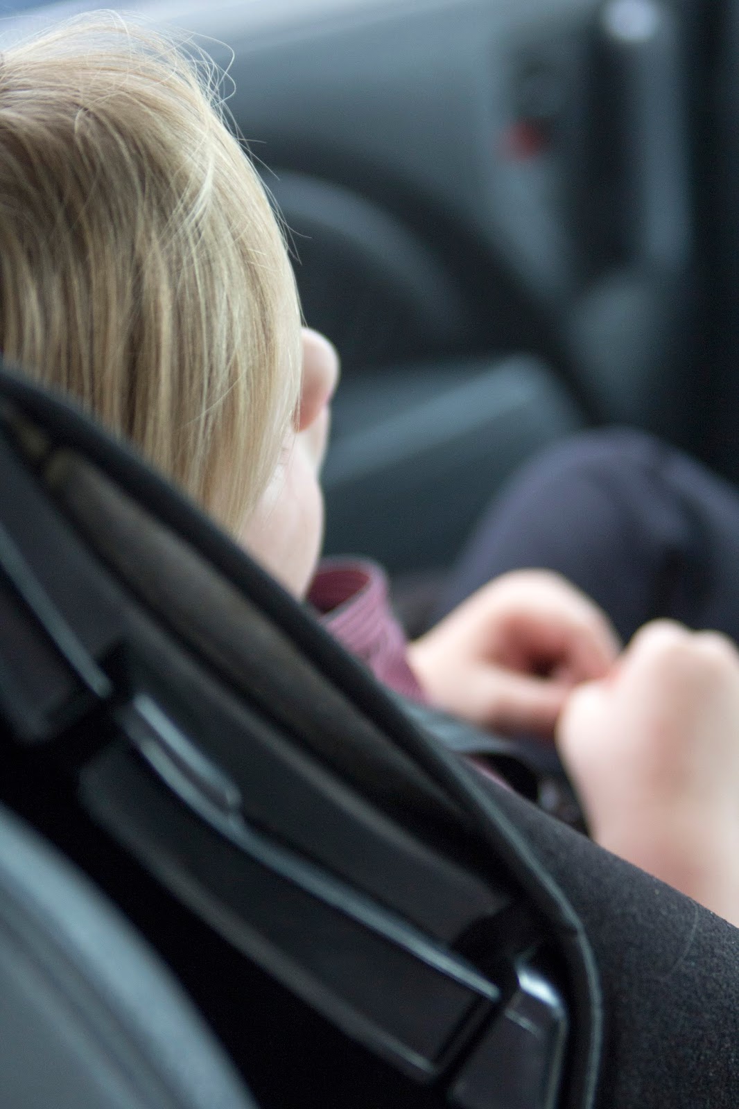 Everything you need to know about road tripping with kids