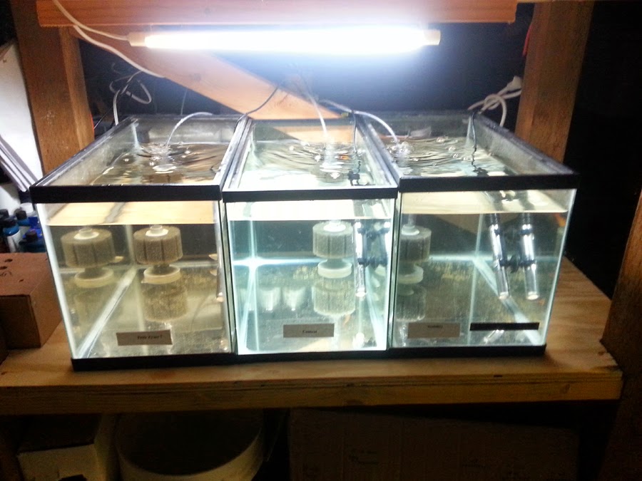 led and t2 aquarium