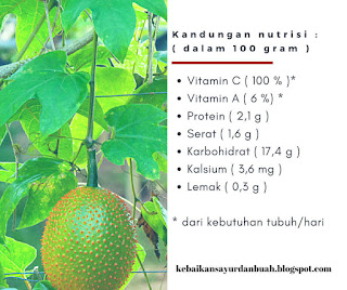 Kandungan nutrisi Tepurang Kandungan nutrisi Tepurang