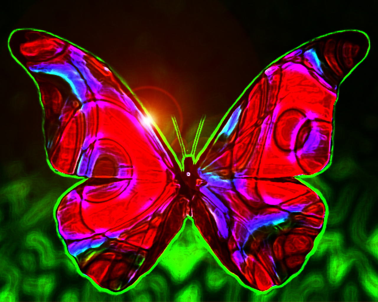 https://4.bp.blogspot.com/-eGtHm68sgOg/TsuewR7pxvI/AAAAAAAABGw/PltR_L9aM9E/s1600/Butterfly%2Bwallpaper%2Bdesigns.jpg
